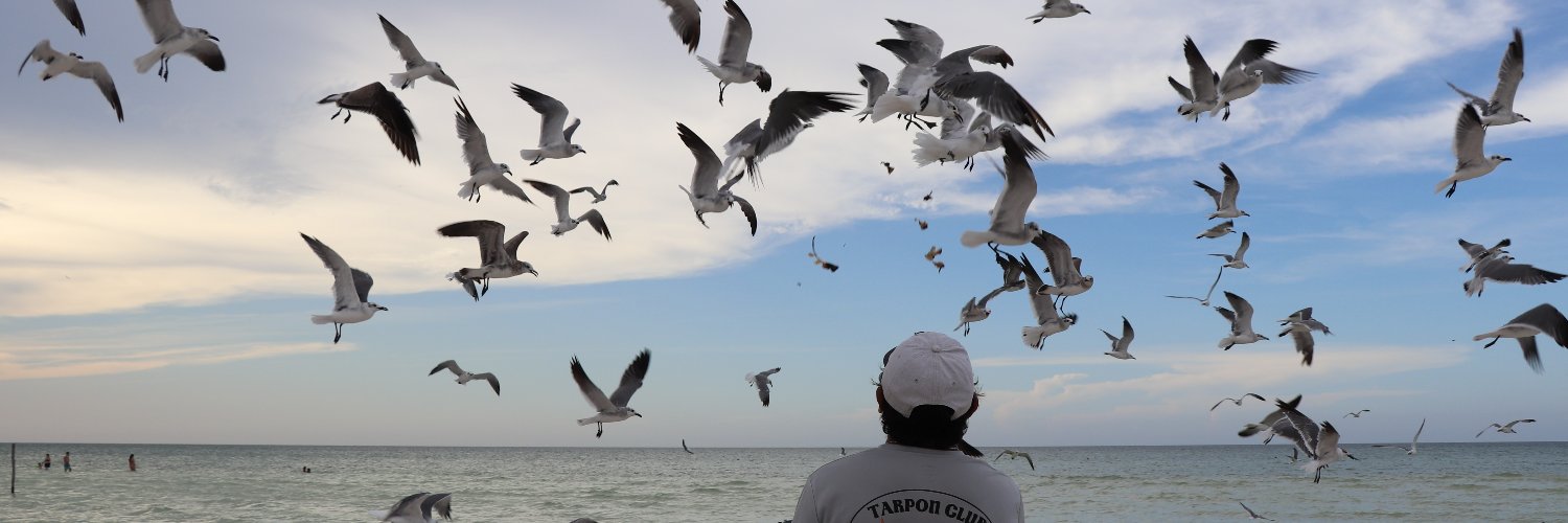 Yaremi Escobar banner