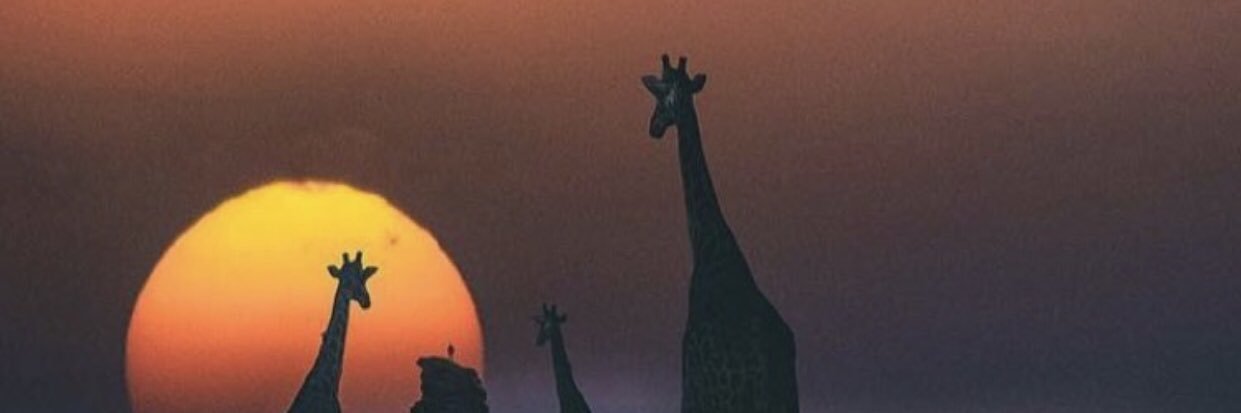 Jeybee_'s profile banner image