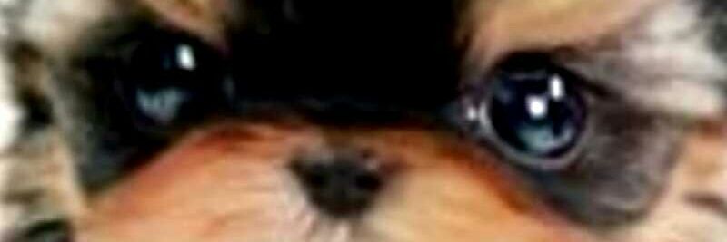 Dj_Drizzyy's profile banner image