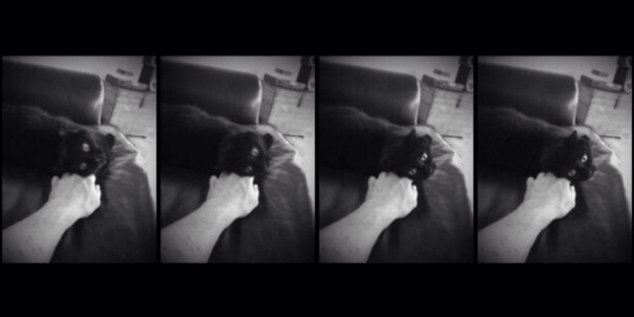 Eye In The Dark banner