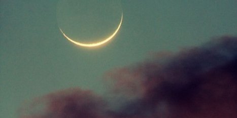 Lemon_Lime140's profile banner image