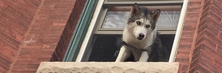 Taylor Schaffer banner