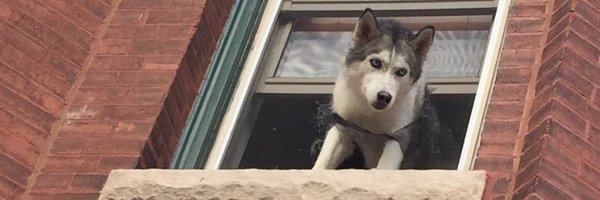 tschaffer1 Profile Banner