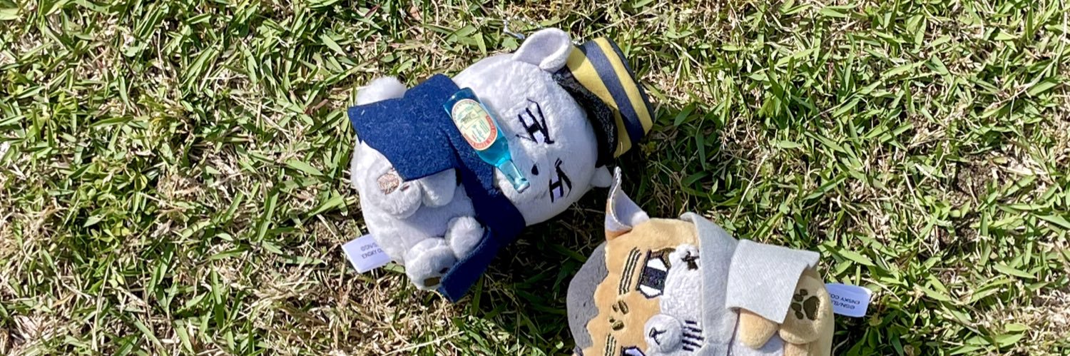 regxxxx16's profile banner image