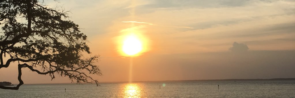 MikefromGotham's profile banner image