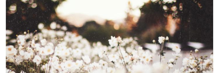 whithaley7's profile banner image