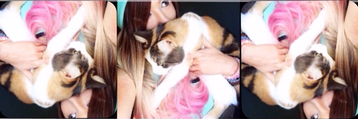 AlohaPalitti's profile banner image