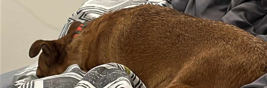 Oski_30's profile banner image