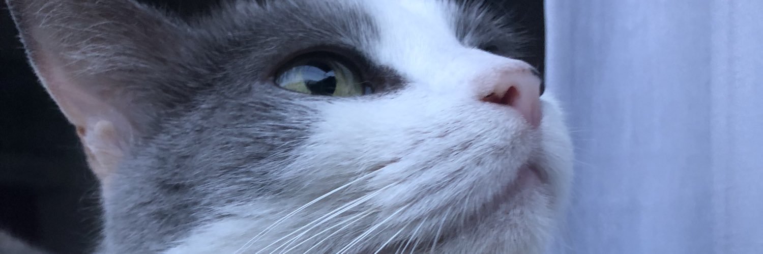 soficjara's profile banner image