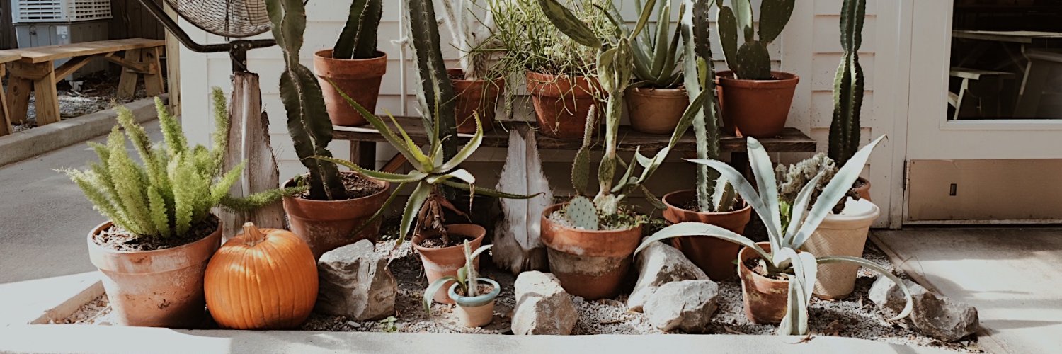 jemfucci's profile banner image