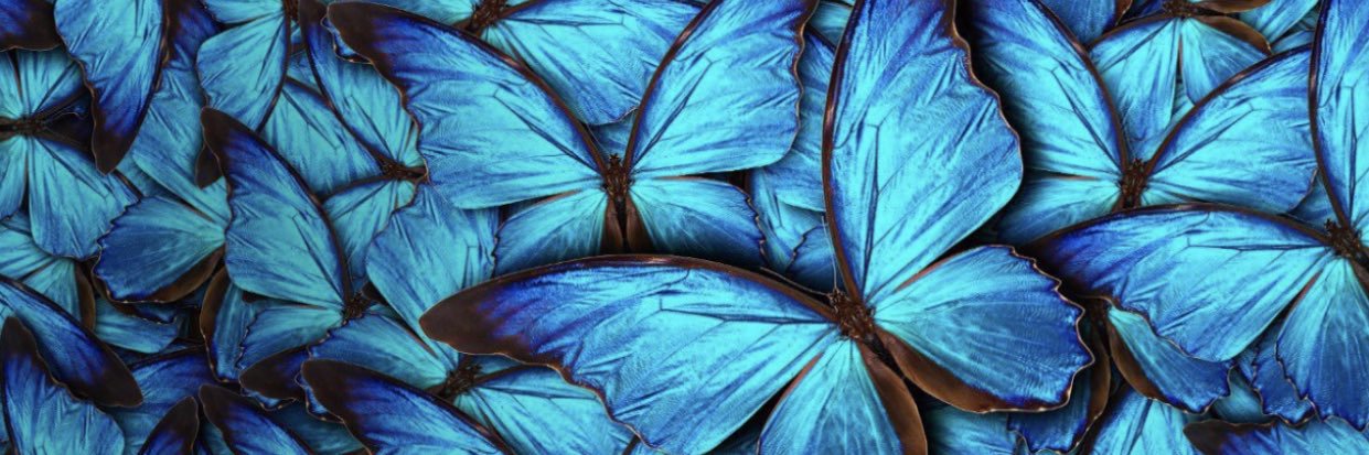prettylilmaya's profile banner image