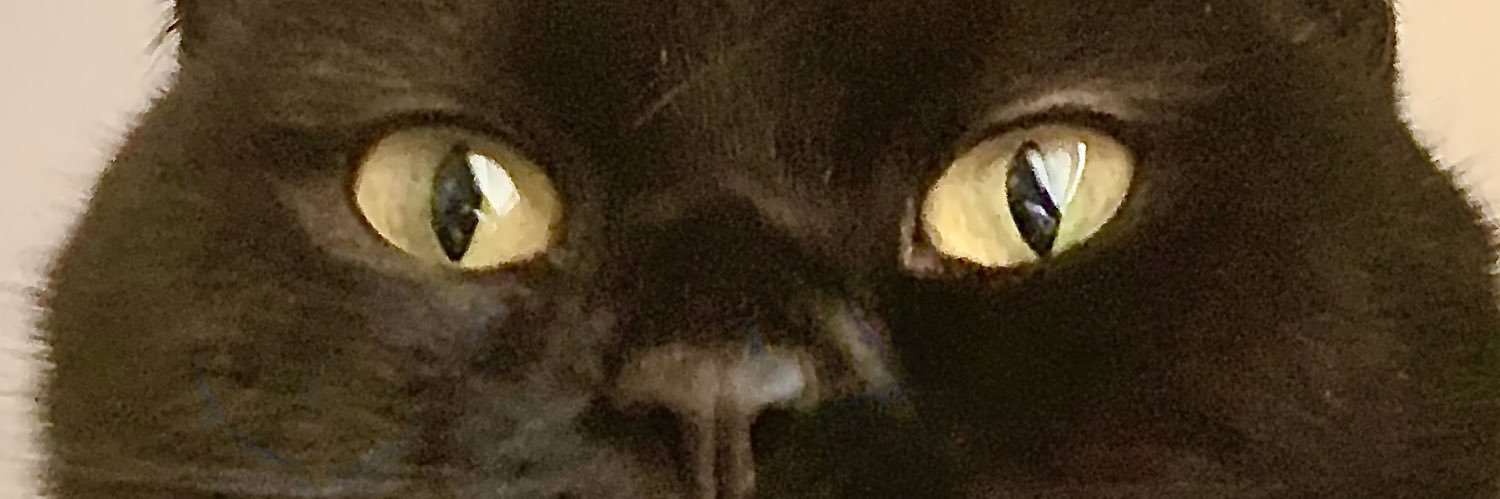 crimune's profile banner image