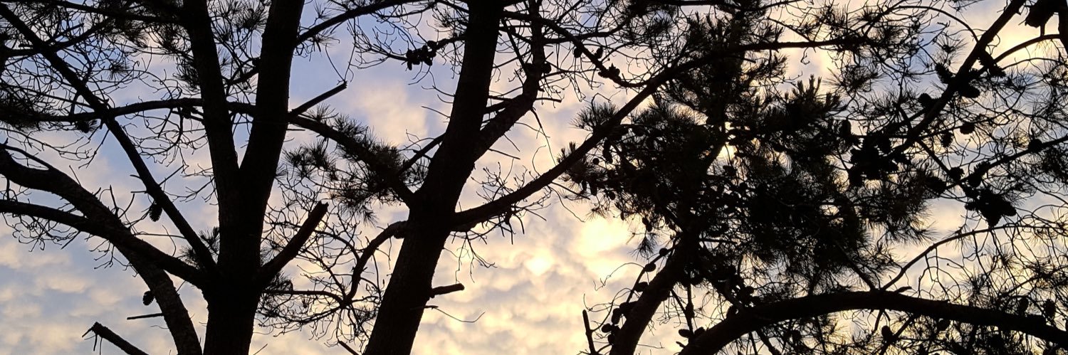 Julieta Rodriguez banner