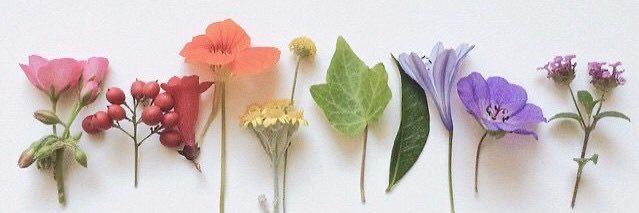 microbi_lau's profile banner image