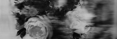 MeruLuruh's profile banner image