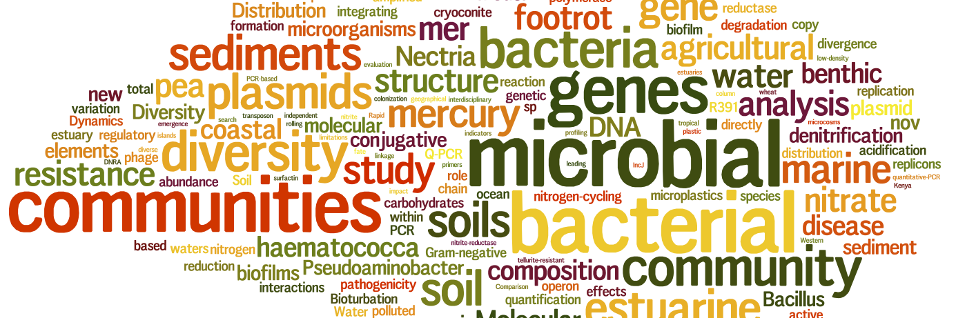 Professor Mark Osborn banner