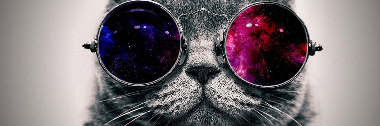 carol_TC01's profile banner image