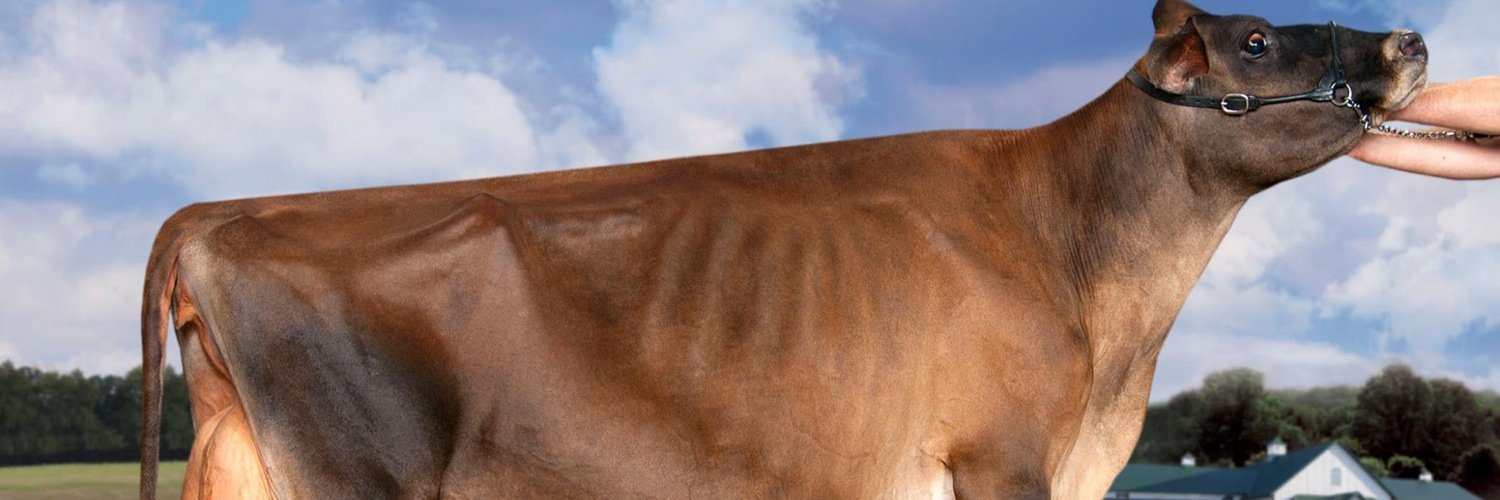 armanrobu's profile banner image