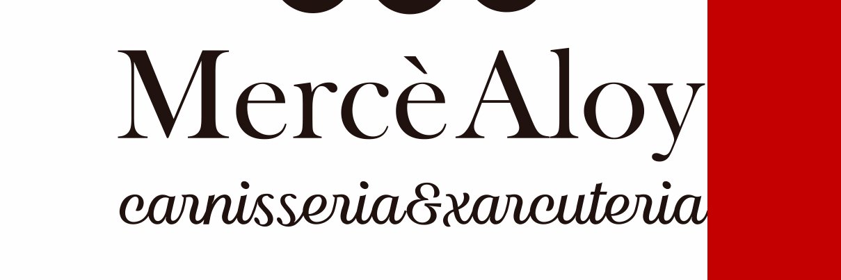 Mercè Aloy banner