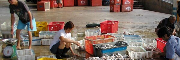 Asiapacfish Profile Banner