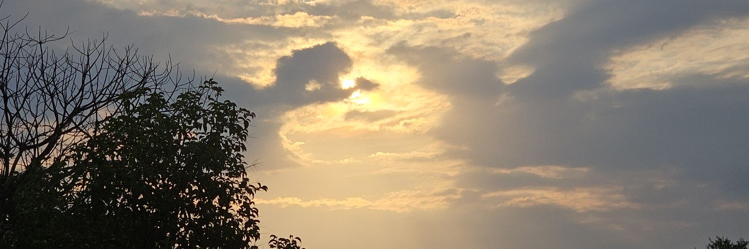 molosiwaf's profile banner image