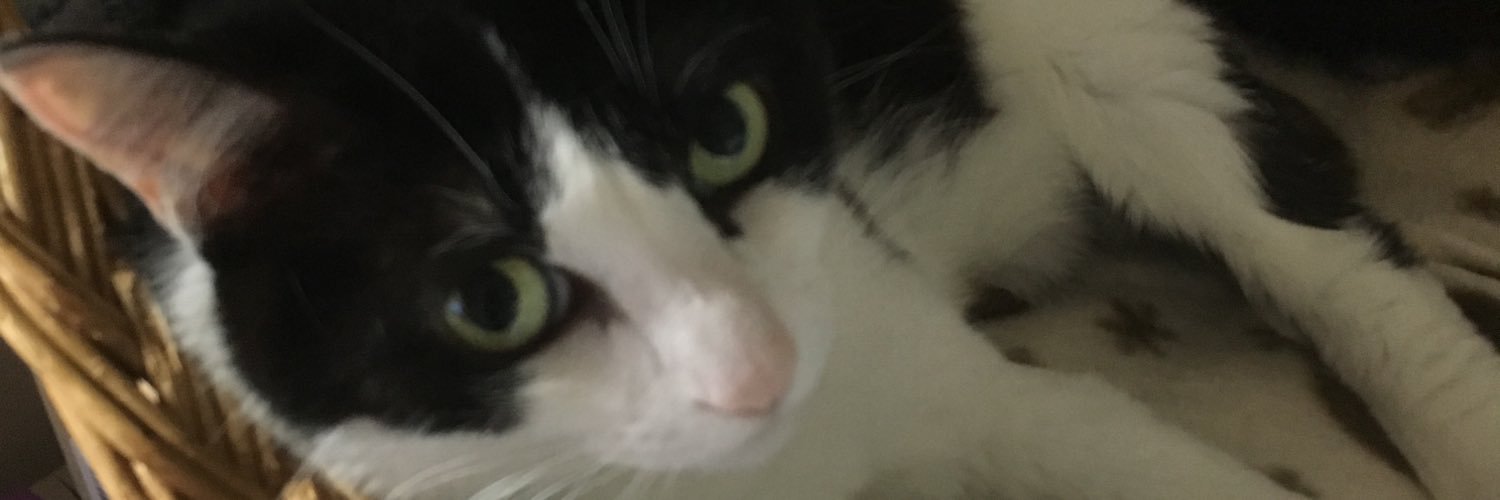 jwb_ss's profile banner image