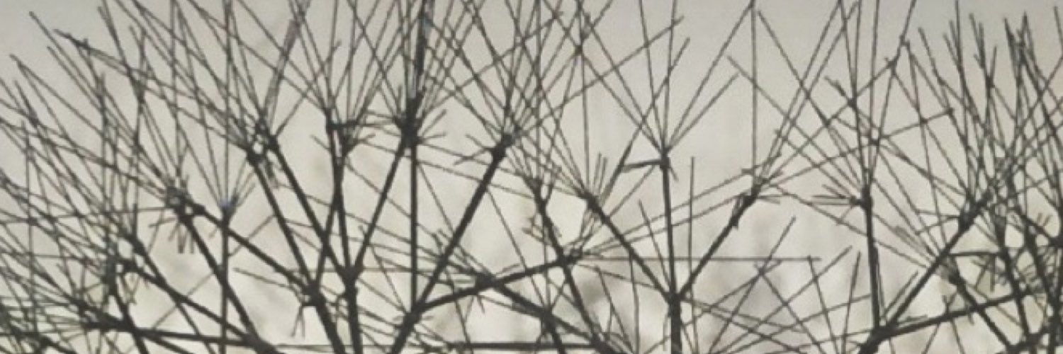 CarsonHeights's profile banner image