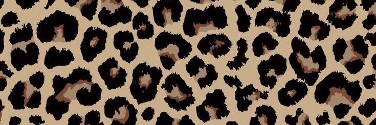 _aarodriguez's profile banner image