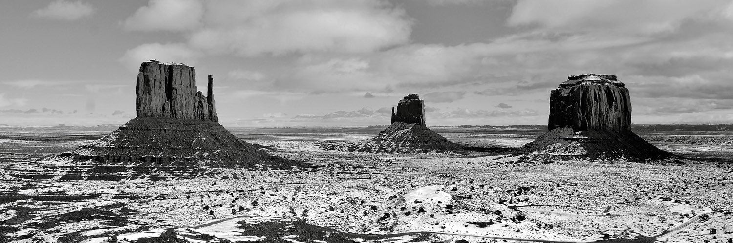 Ignazio Magnani banner