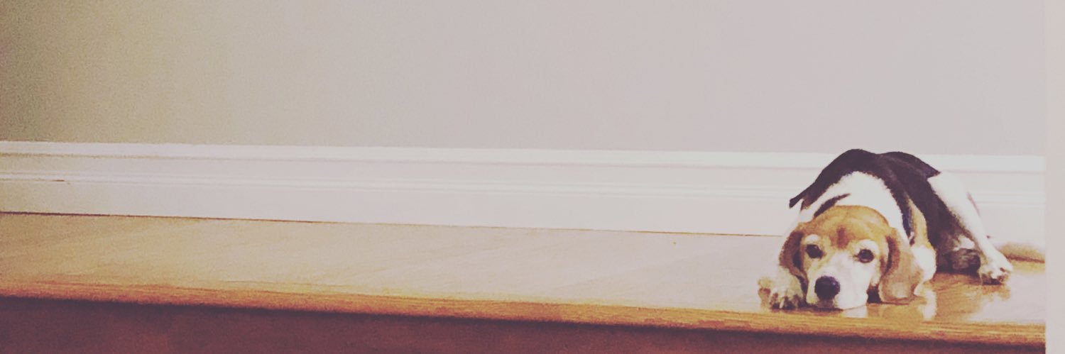 DerangedVisions's profile banner image