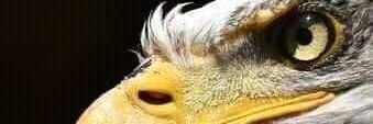 WilliamMosetja's profile banner image