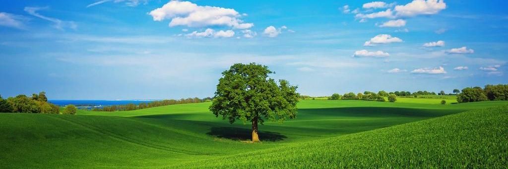 saidmsaid81's profile banner image