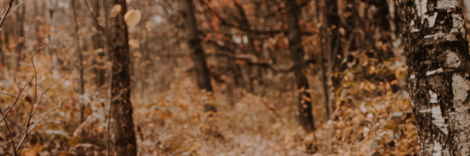 fearlessali's profile banner image