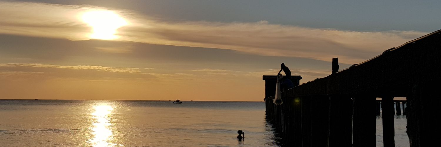 Luis Carlos Colocho banner