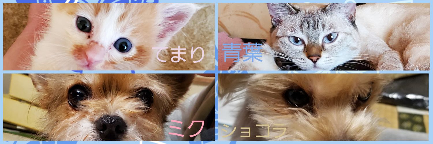 hitotose402's profile banner image