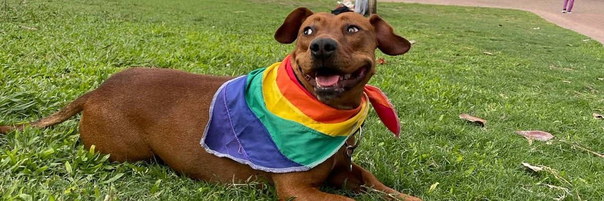 MacaManavella's profile banner image
