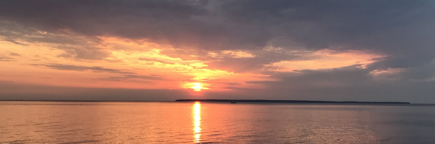 LeslieClemenson's profile banner image