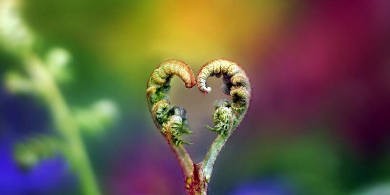 the Colored Company banner