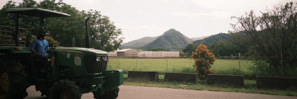 dabitoon Profile Banner