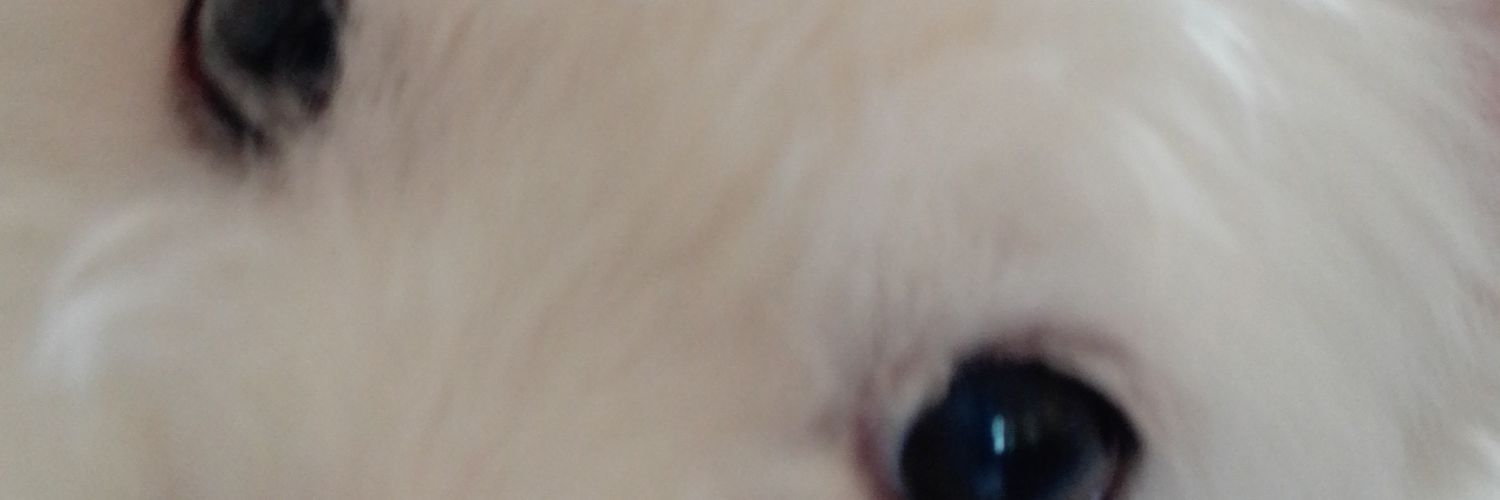ekitololo's profile banner image