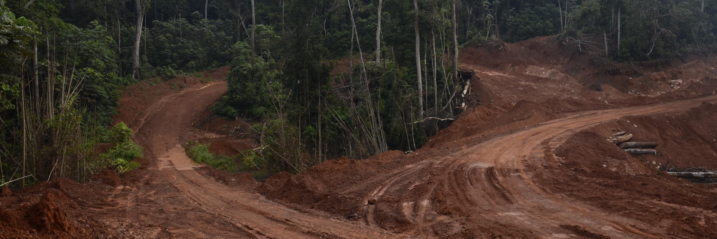 Ben van Raaij banner