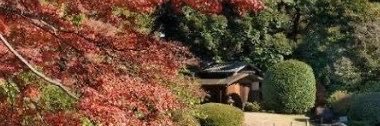 driobcotrim's profile banner image