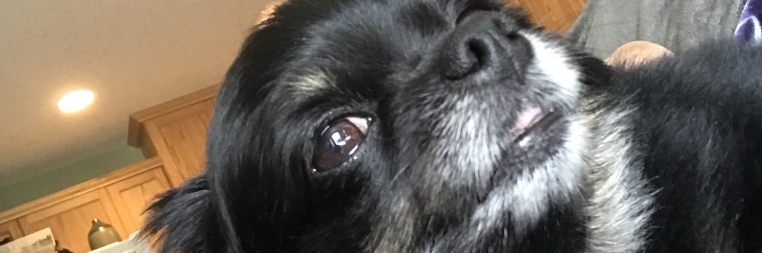 dancinJMitch's profile banner image