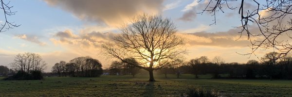 dafyddbhj Profile Banner