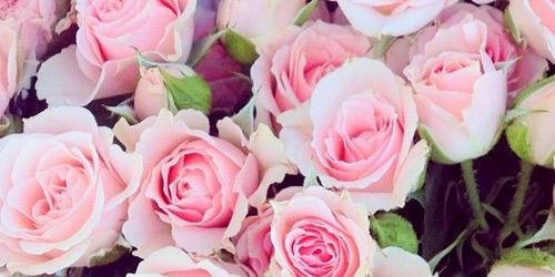 FriidaJimena's profile banner image
