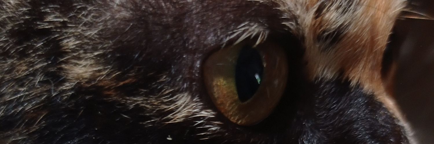 kake_karon's profile banner image