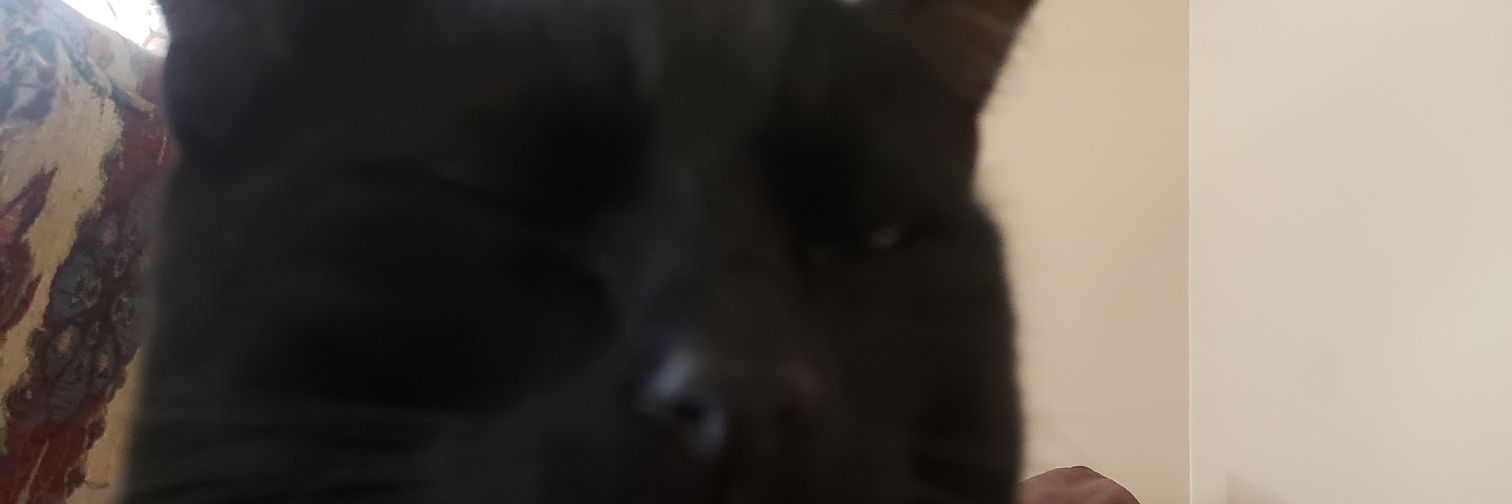 JeremyMacBearmy's profile banner image