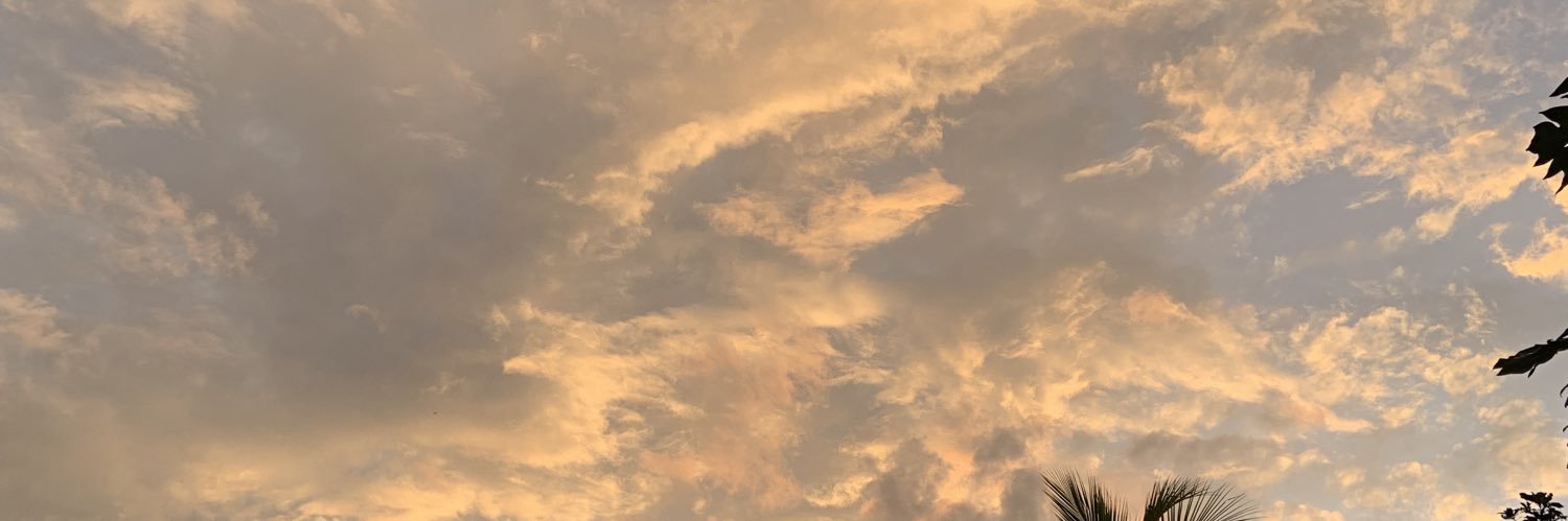 snasaann's profile banner image