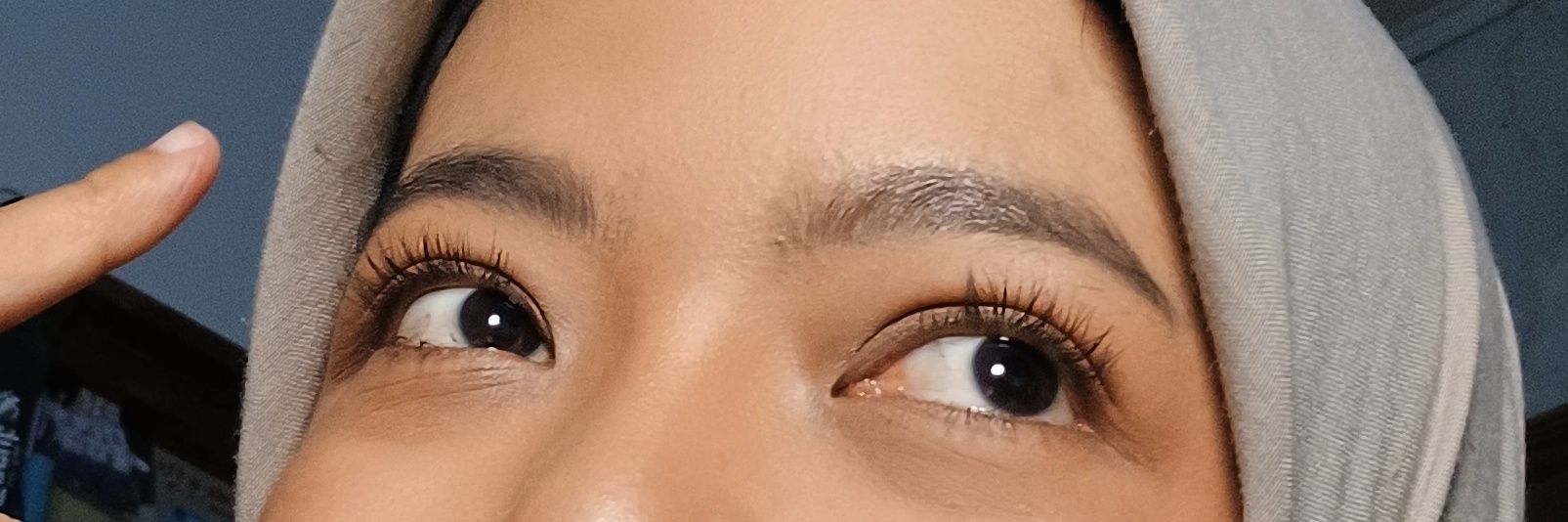 whisgas goreng banner