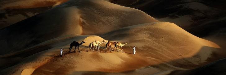 Nico Garat 🇵🇸 🇱🇧 ✡️ / x pudor quité la de isr banner